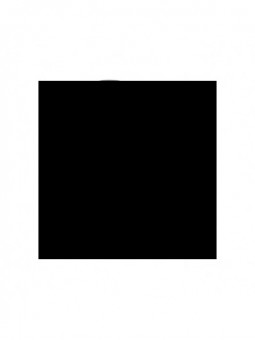 Sensilis Shimmer Lips 12...